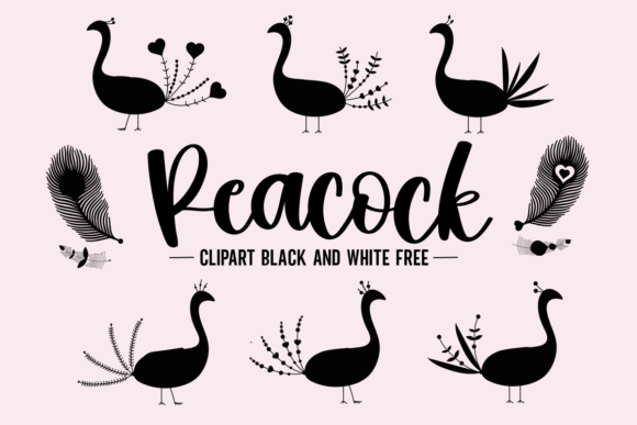 Download Peacock Clipart Black and White Free - Free Collection
